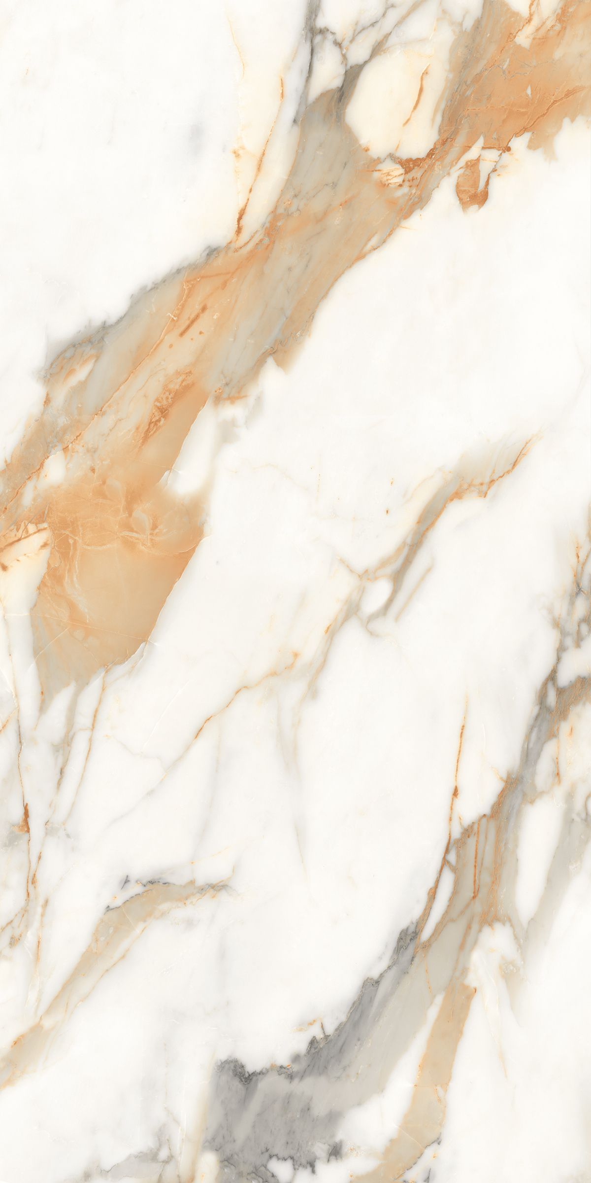 Купить Керамогранит ARTCER Marble Calacatta Gold 9 mm POLI 60x120