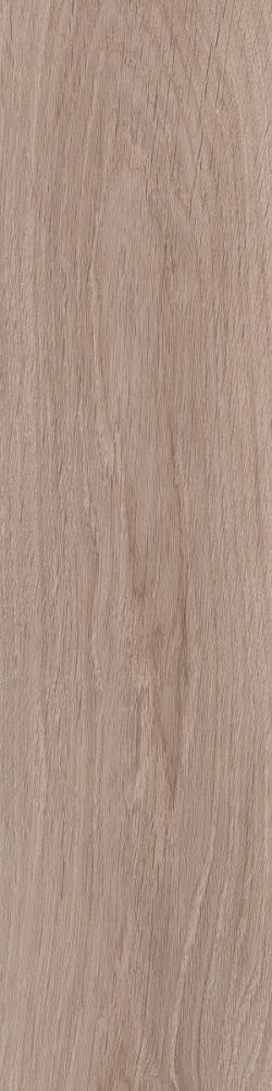 Купить Керамогранит Primavera Branch Taupe 20x80 см (WD06) с доставкой Купить Керамогранит Primavera Branch Taupe 20x80 см (WD06)