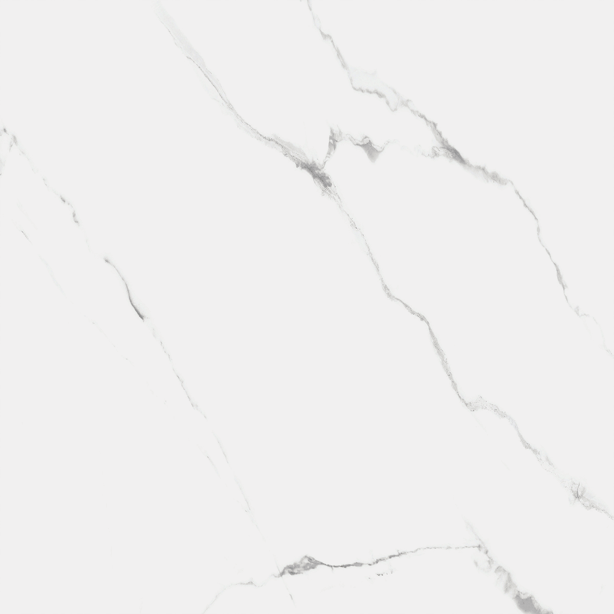 Купить Керамогранит Royce Carrara Marmo Polished 60x60 см (R_PR1004)