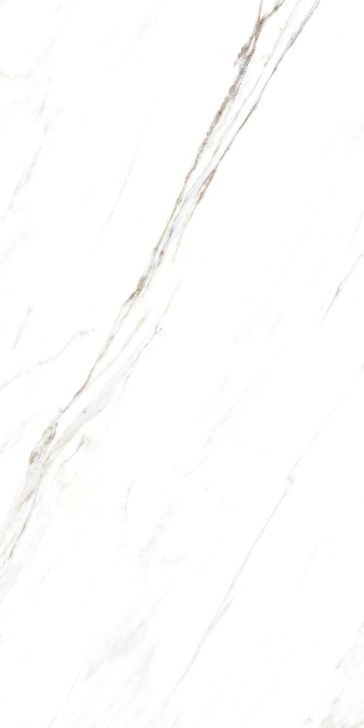 Купить Керамогранит ARTCER Marble Calacatta Caldia 9 mm POLI 60x120
