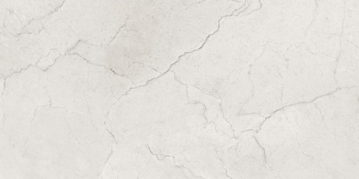Купить Керамогранит Maimoon Ceramica  Glossy Flority ash 120х60