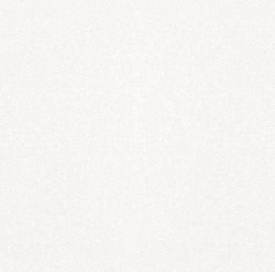 10400000671 Monocolor sugar white PG 01 матовый керамогранит 45х45, Gracia Ceramica