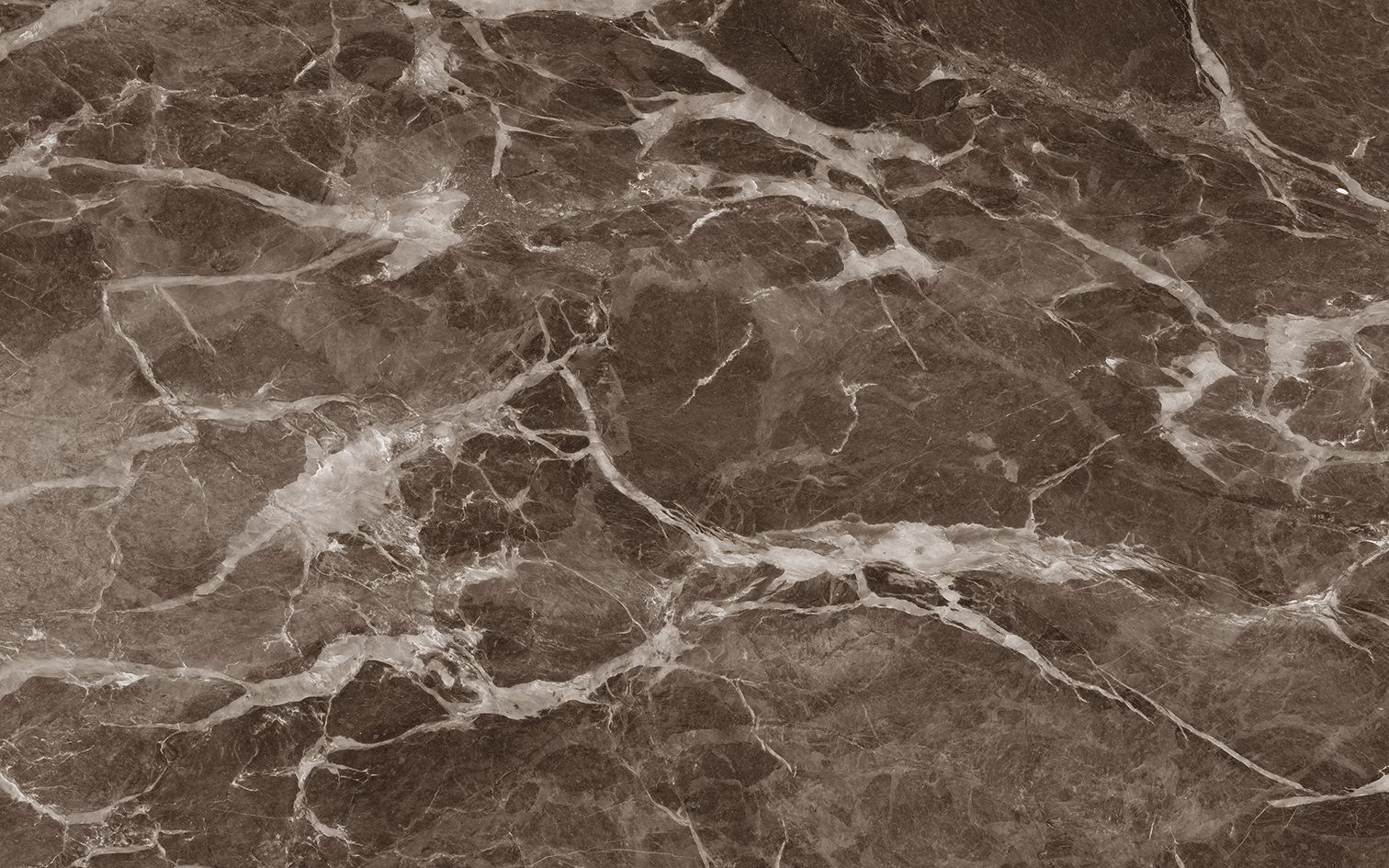 Купить 10100001557 Капелла кор низ 04 плитка для стен 25х40, Gracia Ceramica