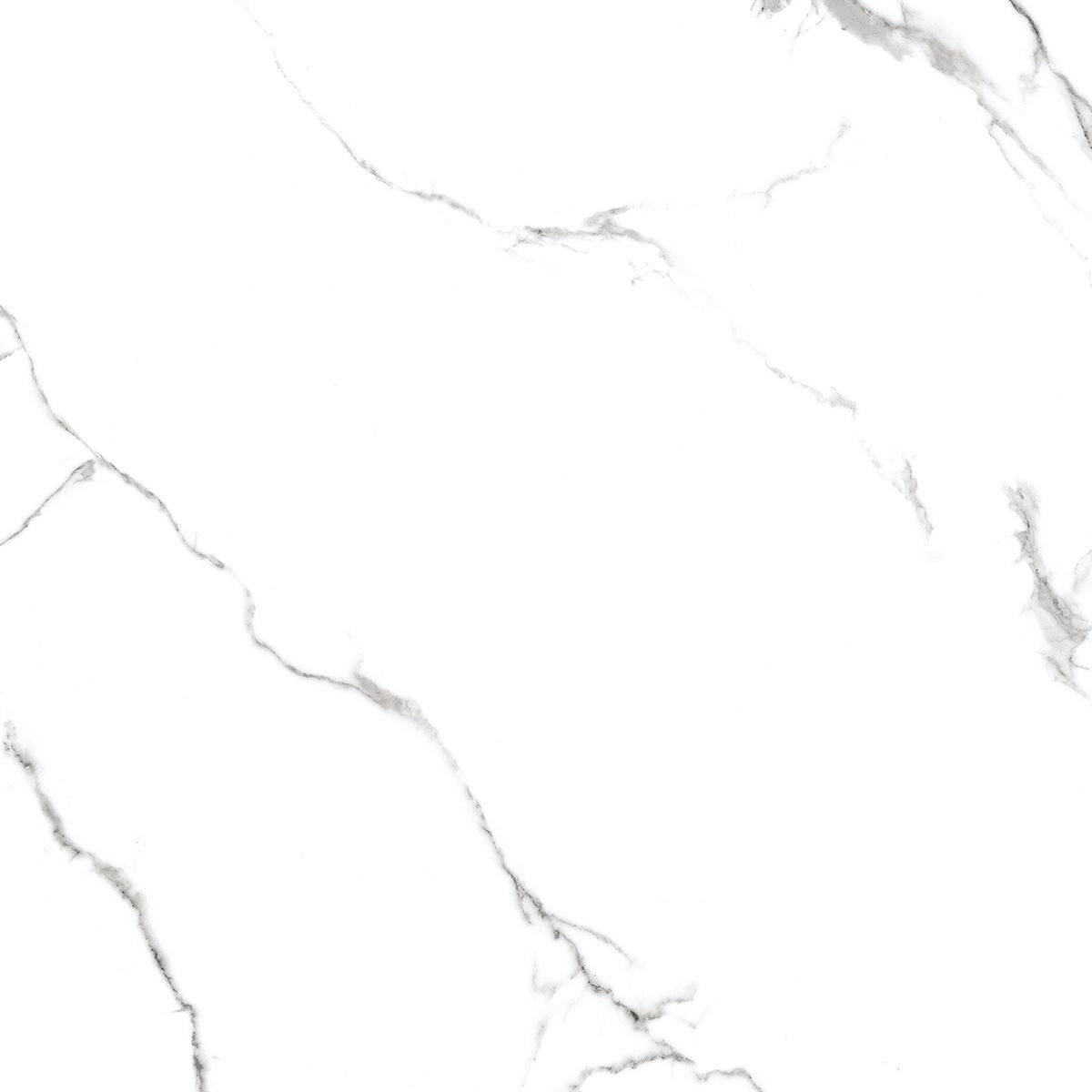 Купить Керамогранит Royce Calacatta Venatino Matt 60x60 см (R_NR1001)