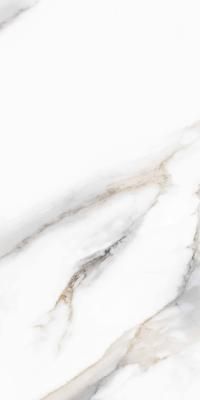 Керамогранит PARDIS Pelatin (176509) Polished 600х1200 мм