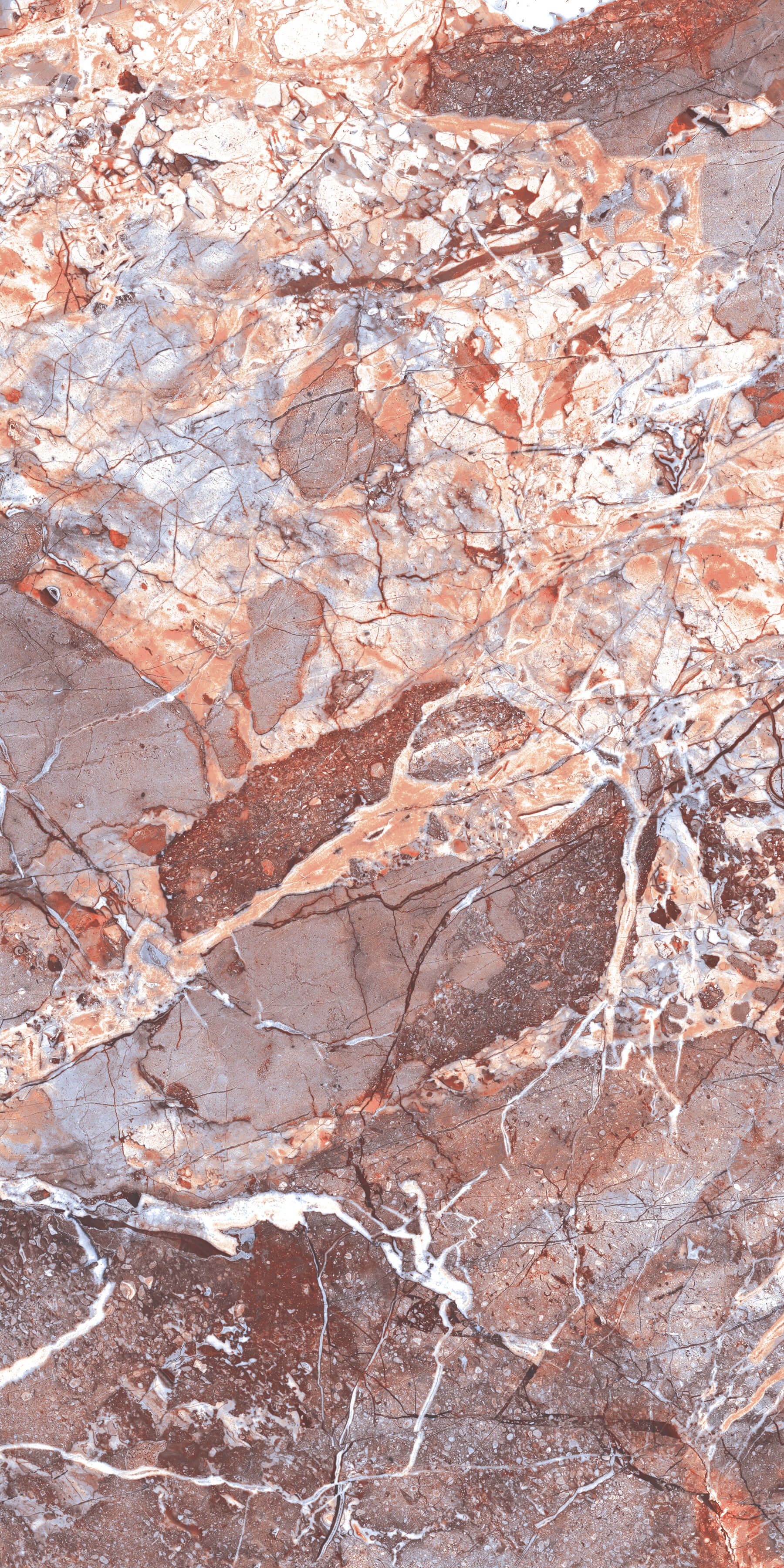 Купить Керамогранит ARTCER Exclusive Marble Acadia Multi POLI 60x120