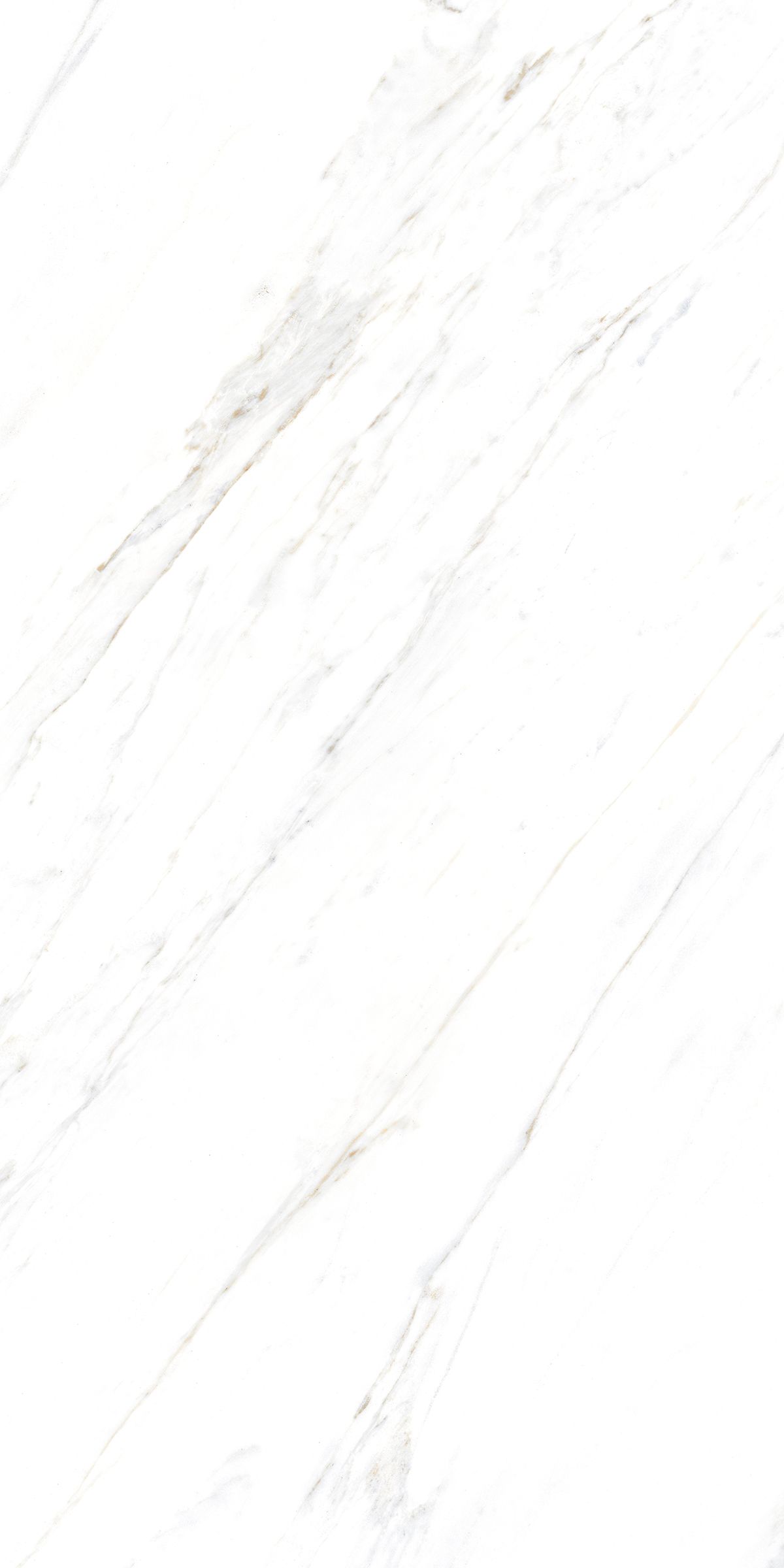 Купить Керамогранит ARTCER Marble Calacatta Caldia 9 mm POLI 60x120