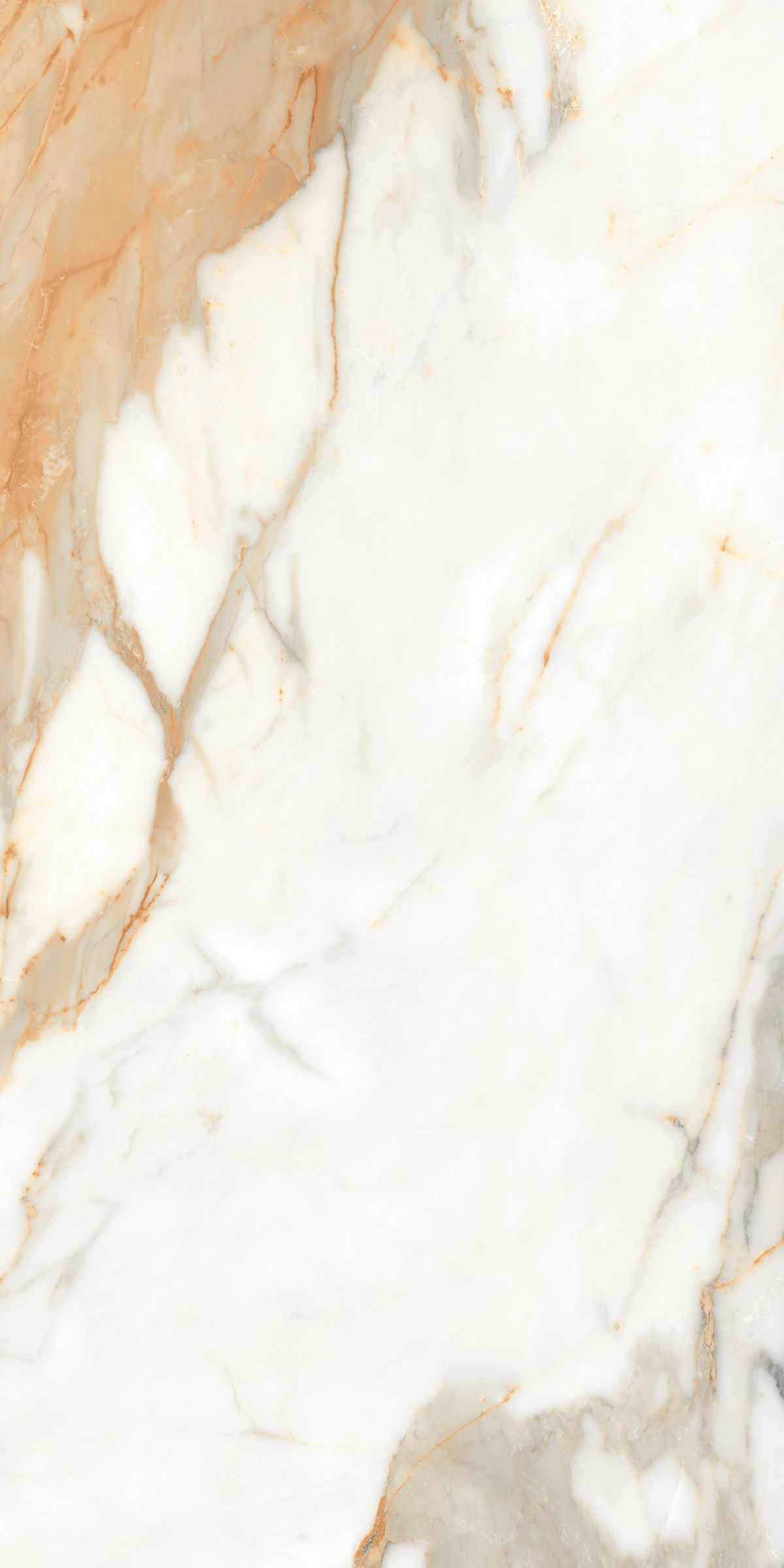Купить Керамогранит ARTCER Marble Calacatta Gold 9 mm POLI 60x120
