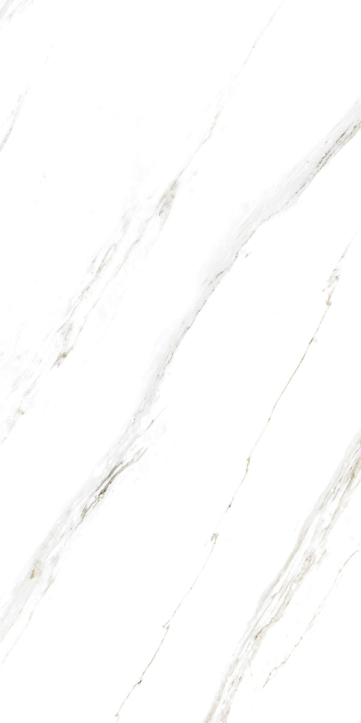 Купить Керамогранит ARTCER Marble Calacatta Caldia 9 mm POLI 60x120