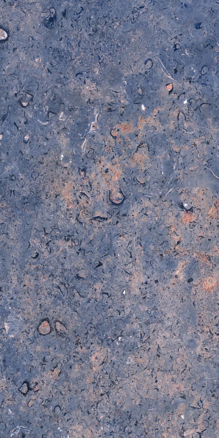 Купить Керамогранит ARTCER Exclusive Marble Dstone POLI 60x120