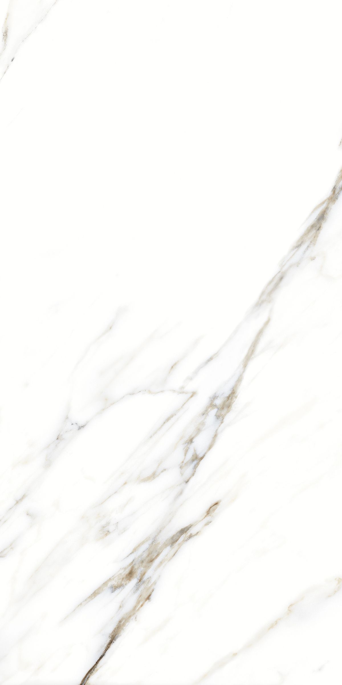 Купить Керамогранит ARTCER Marble Fantastic White  9 mm MATE 60x120