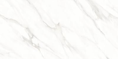 Керамогранит Maimoon Ceramica  Glossy Roman satvario 120х60