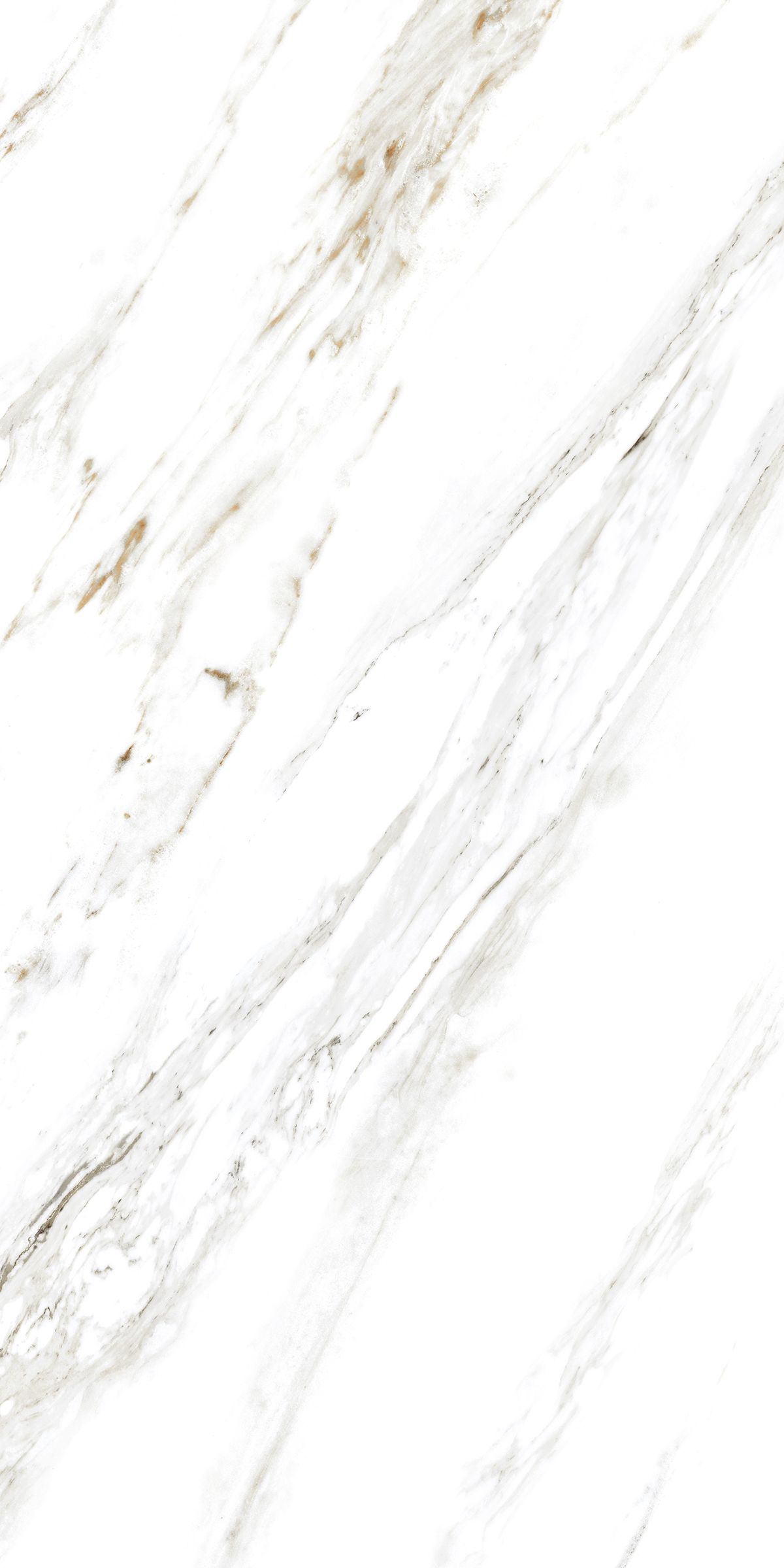 Купить Керамогранит ARTCER Marble Calacatta Caldia 9 mm POLI 60x120