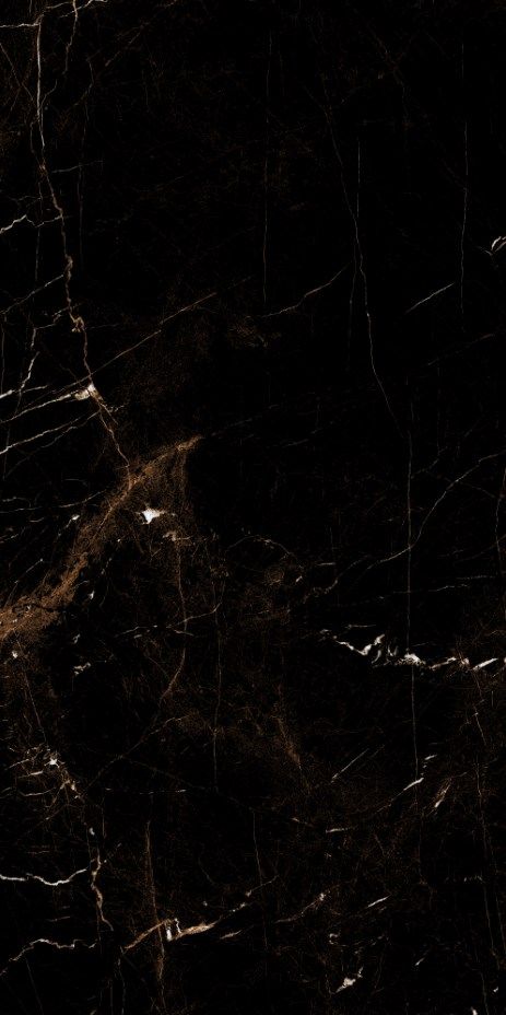 Купить Керамогранит ARTCER Eco Tropic Black 9 mm POLI 60x120
