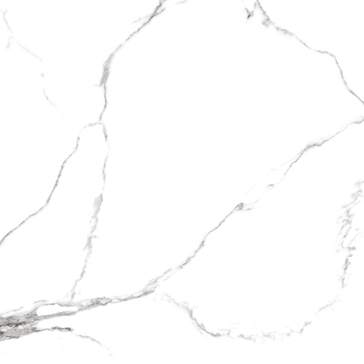 Купить Керамогранит Royce Calacatta Venatino Matt 60x60 см (R_NR1001)