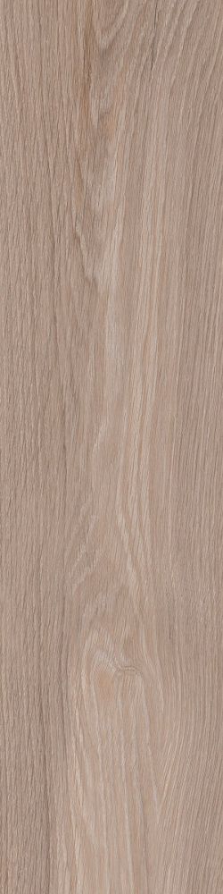 Купить Керамогранит Primavera Branch Taupe 20x80 см (WD06) с доставкой Купить Керамогранит Primavera Branch Taupe 20x80 см (WD06)