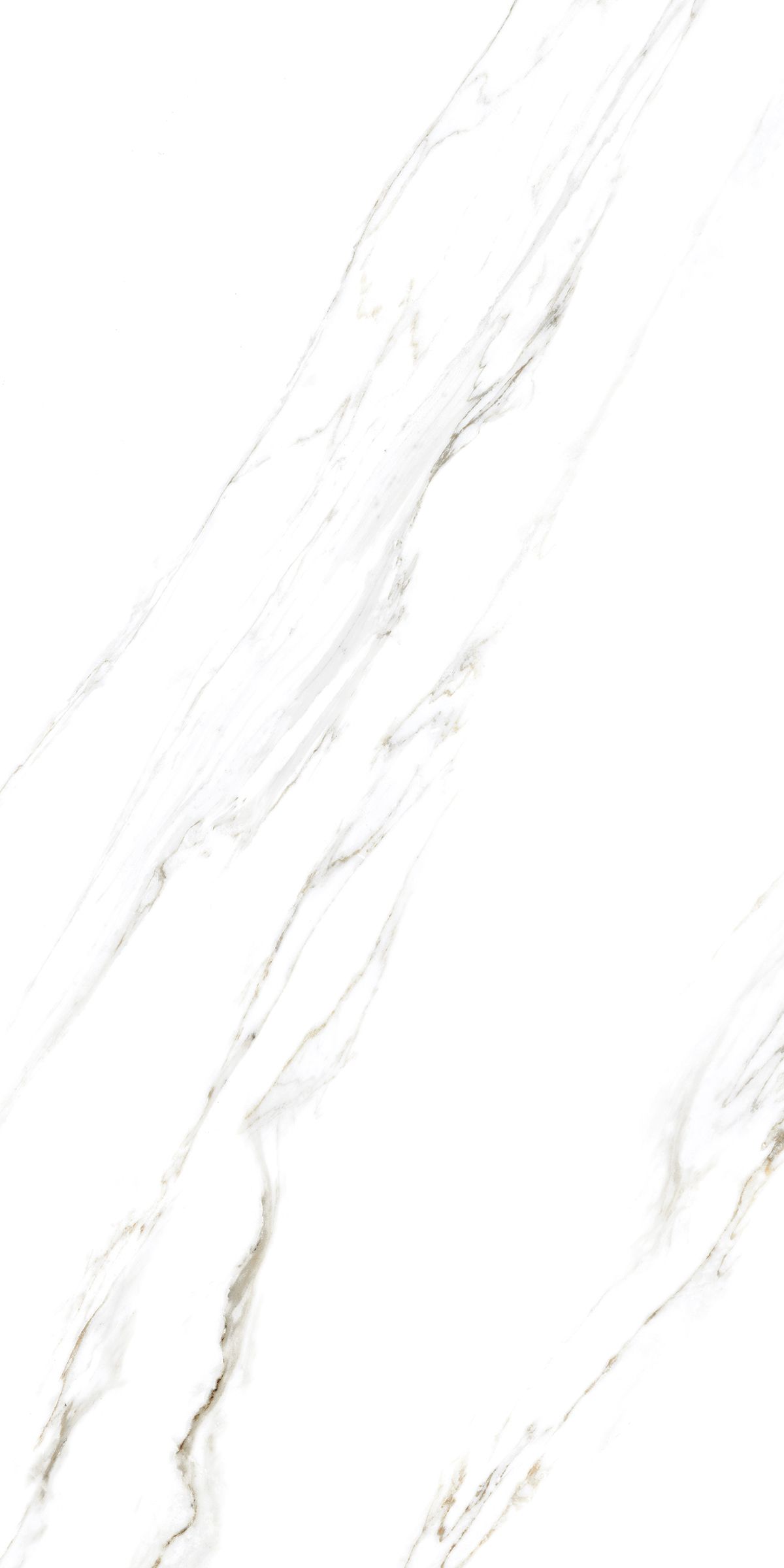 Купить Керамогранит ARTCER Marble Calacatta Caldia 9 mm POLI 60x120