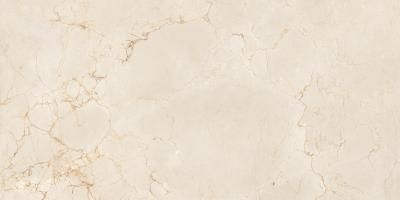 Керамогранит Maimoon Ceramica  Itacid criox moss 120х60