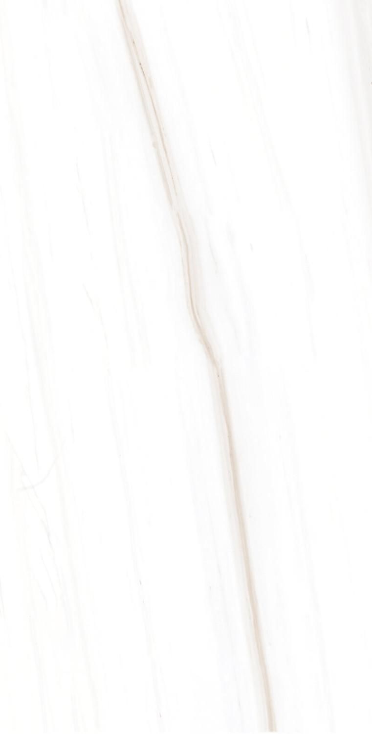 Купить Керамогранит ARTCER Marble Bianco Lasa 9 mm MATE 60x120