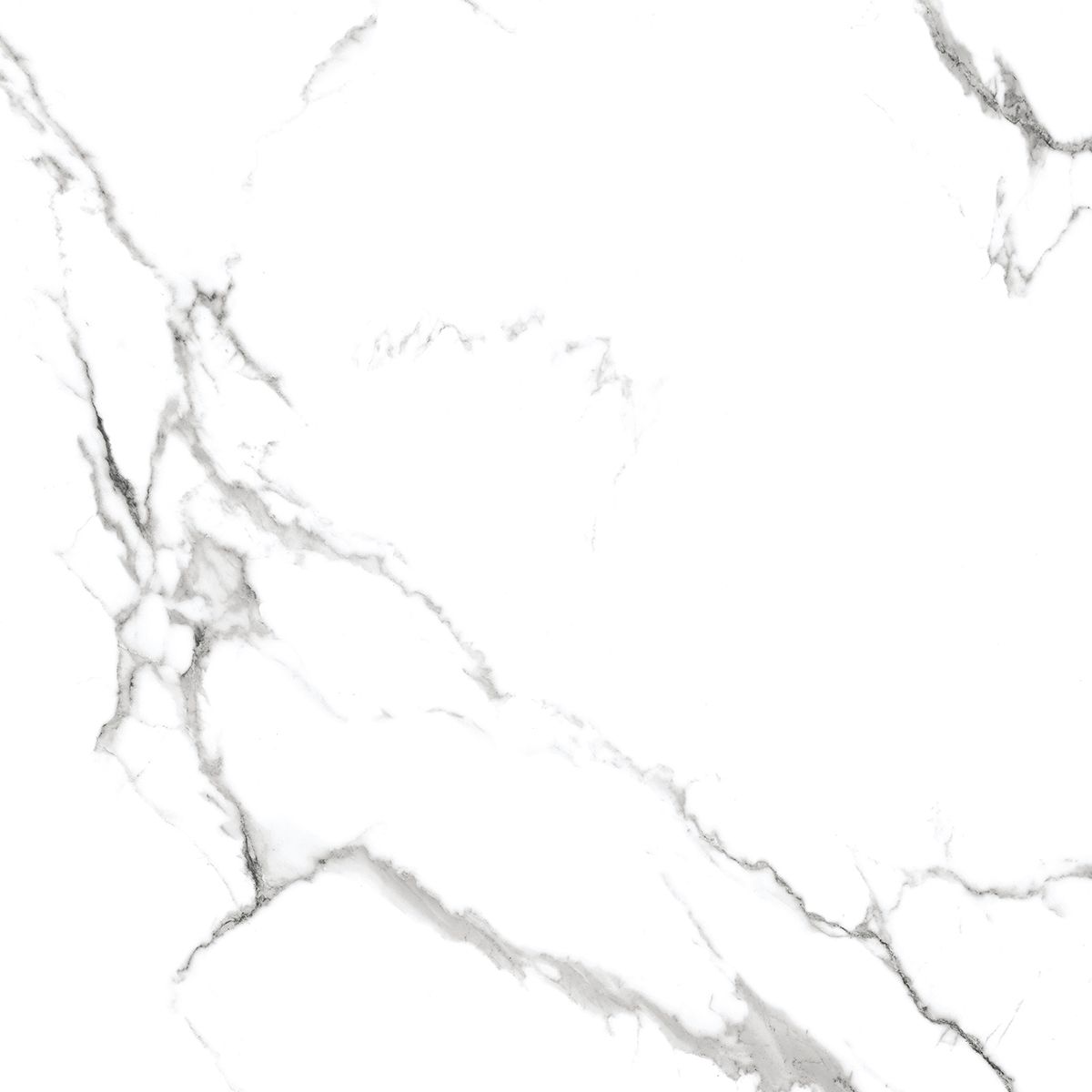 Купить Керамогранит Royce Calacatta Venatino Matt 60x60 см (R_NR1001)