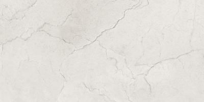 Керамогранит Maimoon Ceramica  Glossy Flority ash 120х60