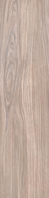 Керамогранит Primavera Forest Gold Terra 20x80 см (WD11)