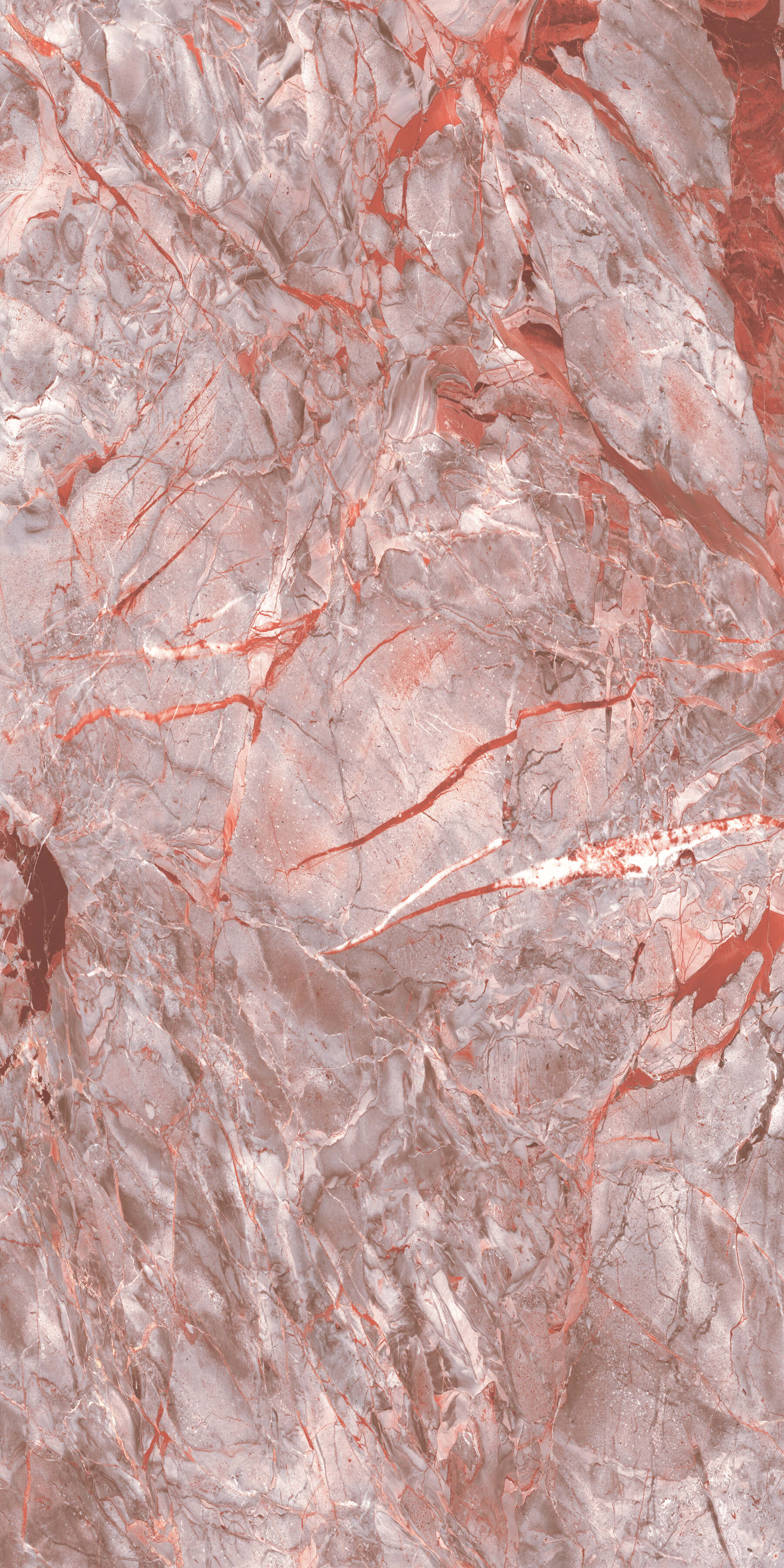 Купить Керамогранит ARTCER Exclusive Marble Darien Red  POLI 60x120