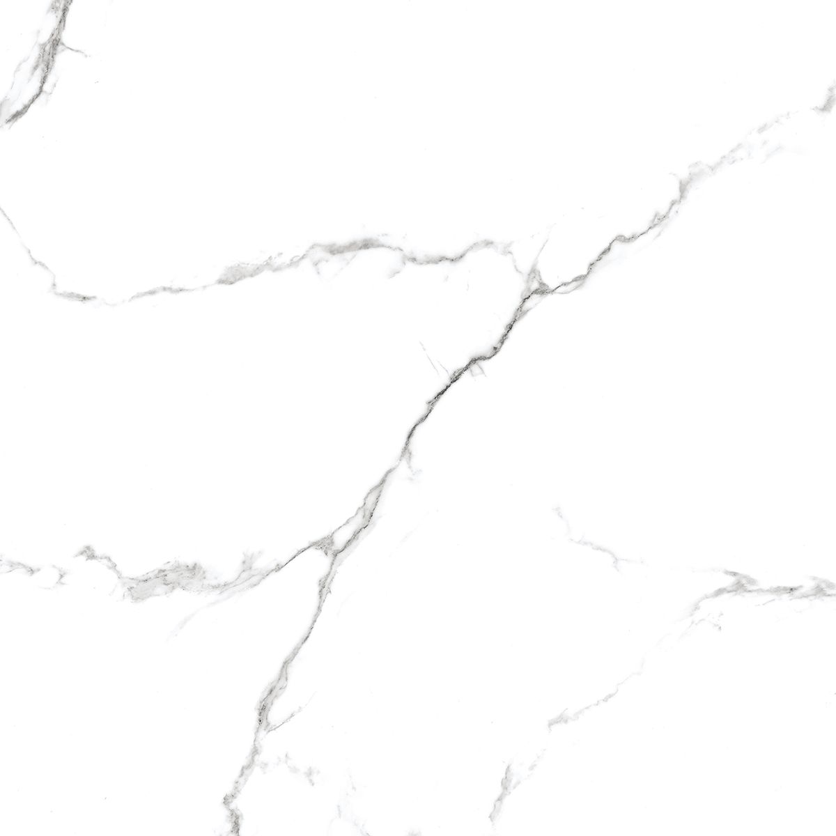 Купить Керамогранит Royce Calacatta Venatino Polished 60x60 см (R_PR1001)