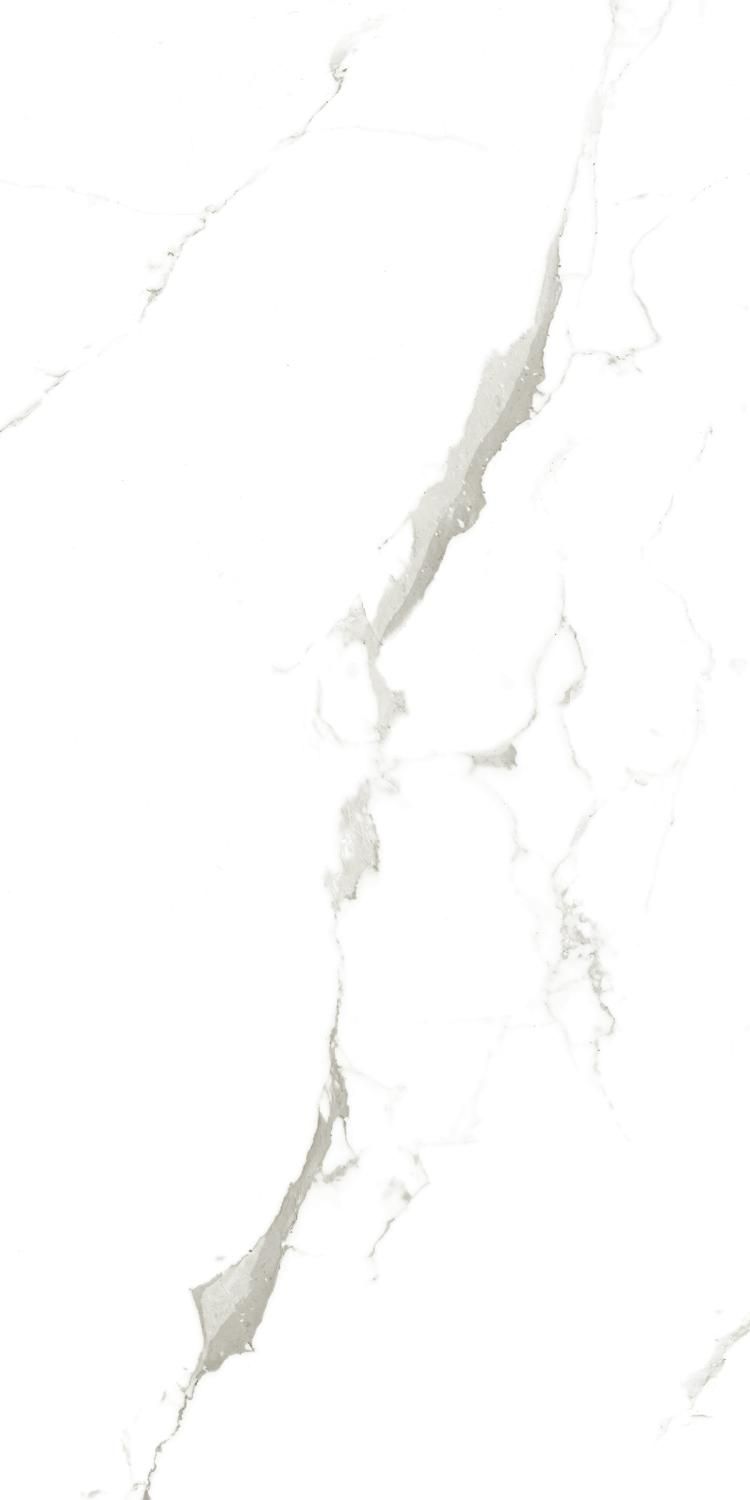 Купить Керамогранит ARTCER Marble Vena Fine Statuario 9 mm MATE 60x120