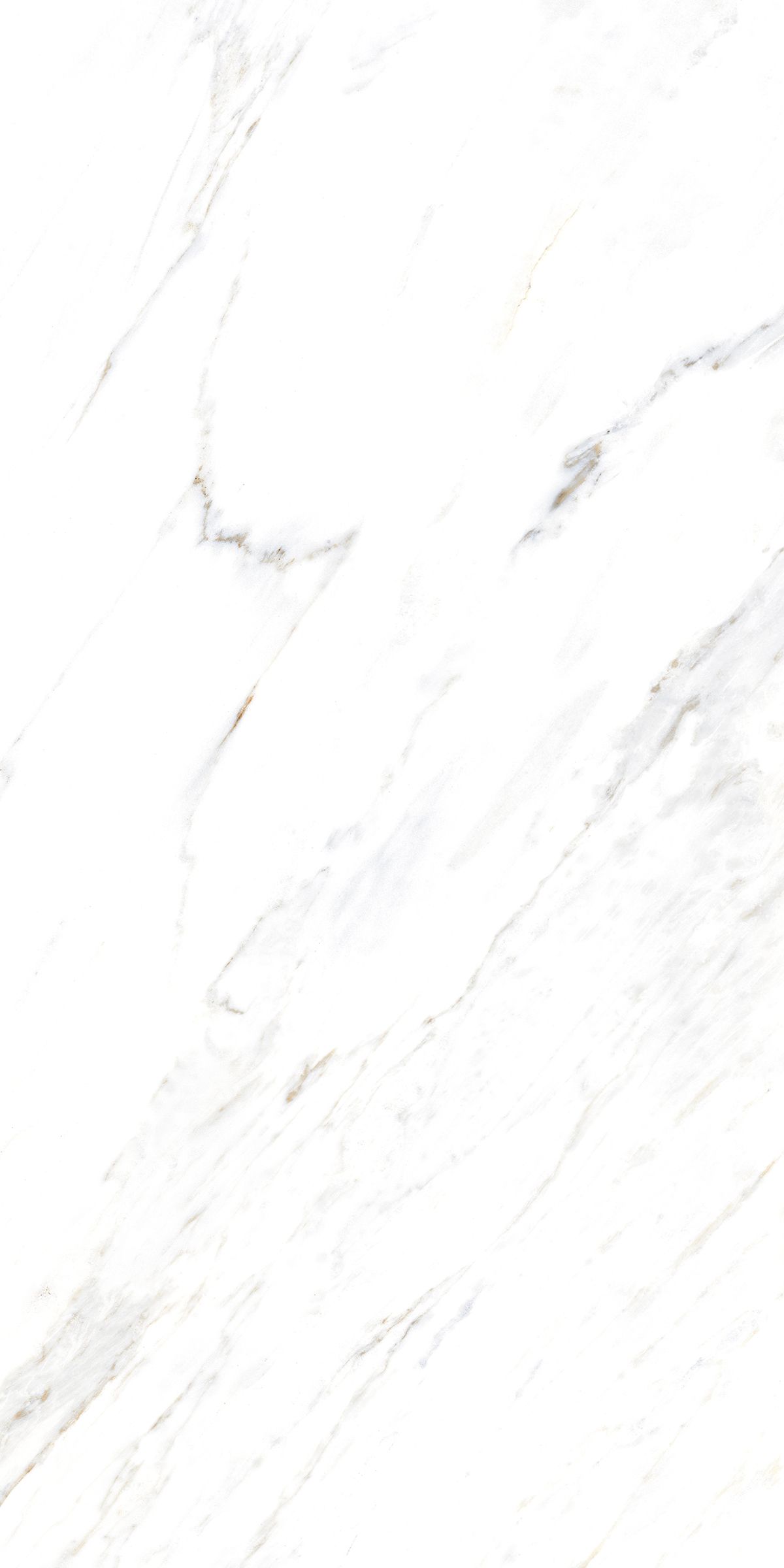 Купить Керамогранит ARTCER Marble Calacatta Caldia 9 mm POLI 60x120