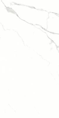 Керамогранит ARTCER Marble Silver Shine 9 mm POLI 60x120