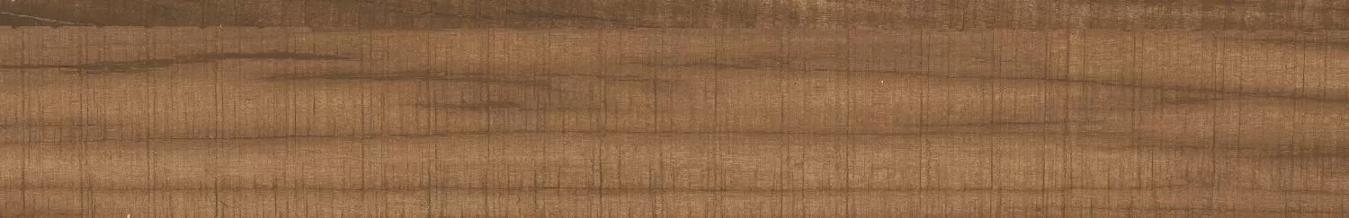 Купить Керамогранит Marazen Cottonwood Wenge Rectificado 19,5x120