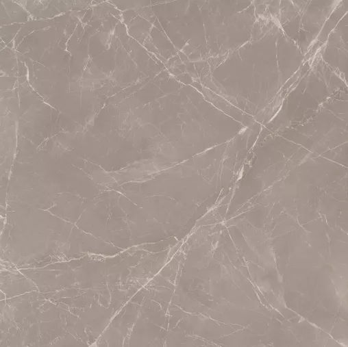 Купить Керамогранит Maimoon Ceramica  Slabs Prestige Dove 120х120