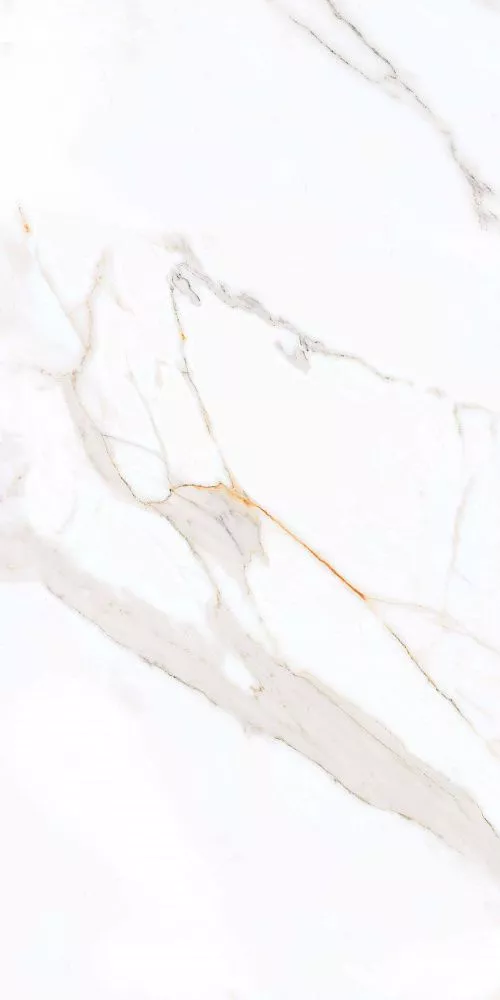 Купить Керамогранит Primavera Regal Carara 60x120 см (PR203)