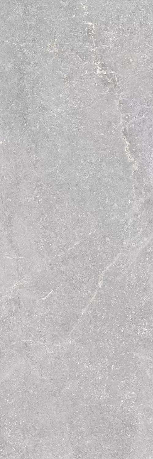 Купить Настенная плитка Keraben Bleuemix Grey MATE 40x120