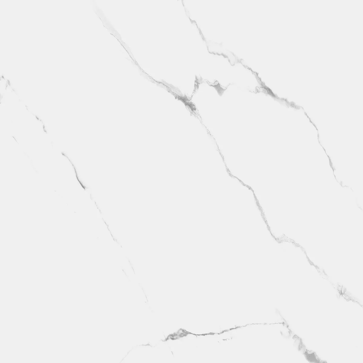 Купить Керамогранит Royce Carrara Marmo Polished 60x60 см (R_PR1004)