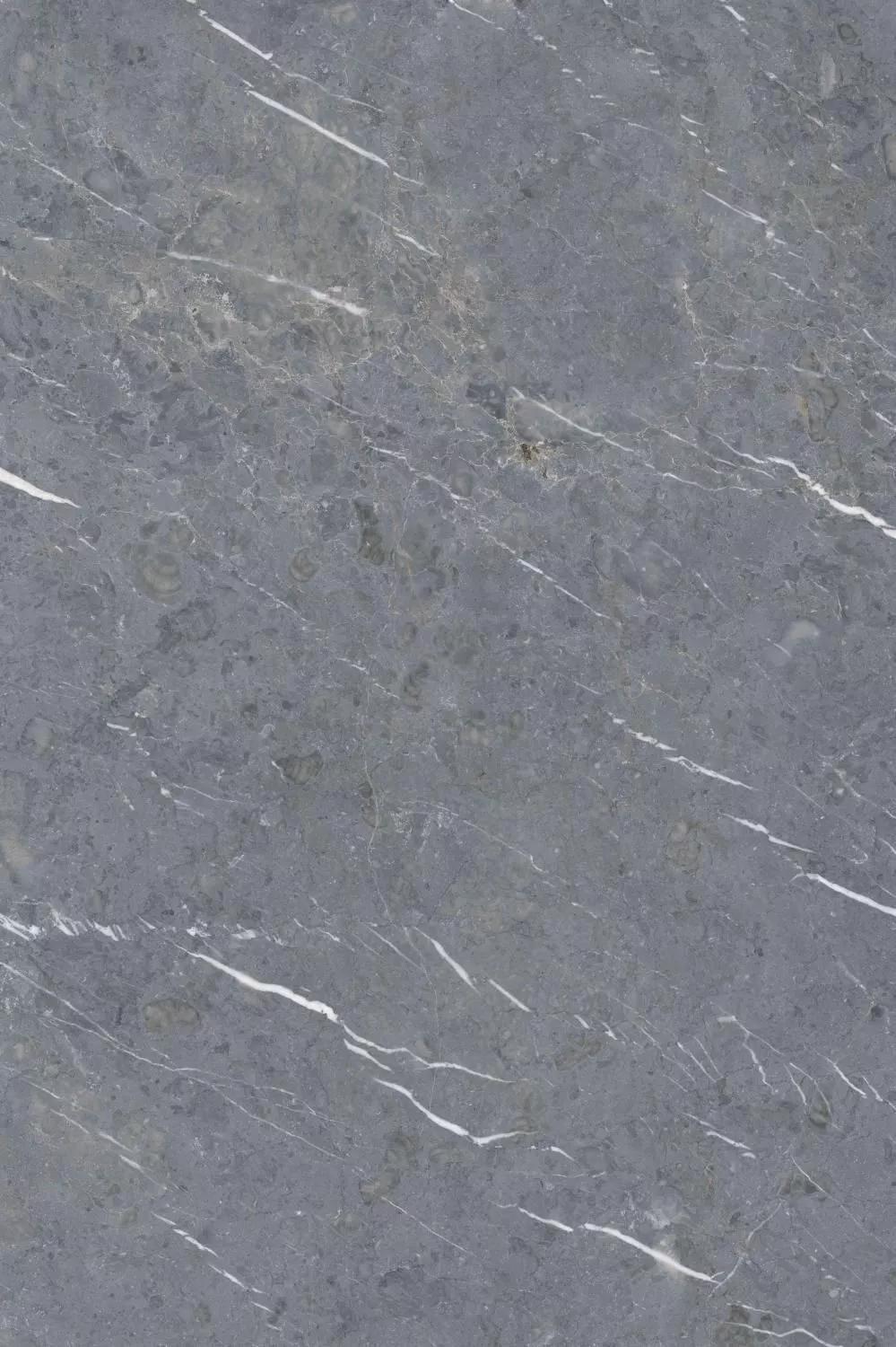 Купить Керамогранит ARTCER 1XL William Grey MATE 120x180