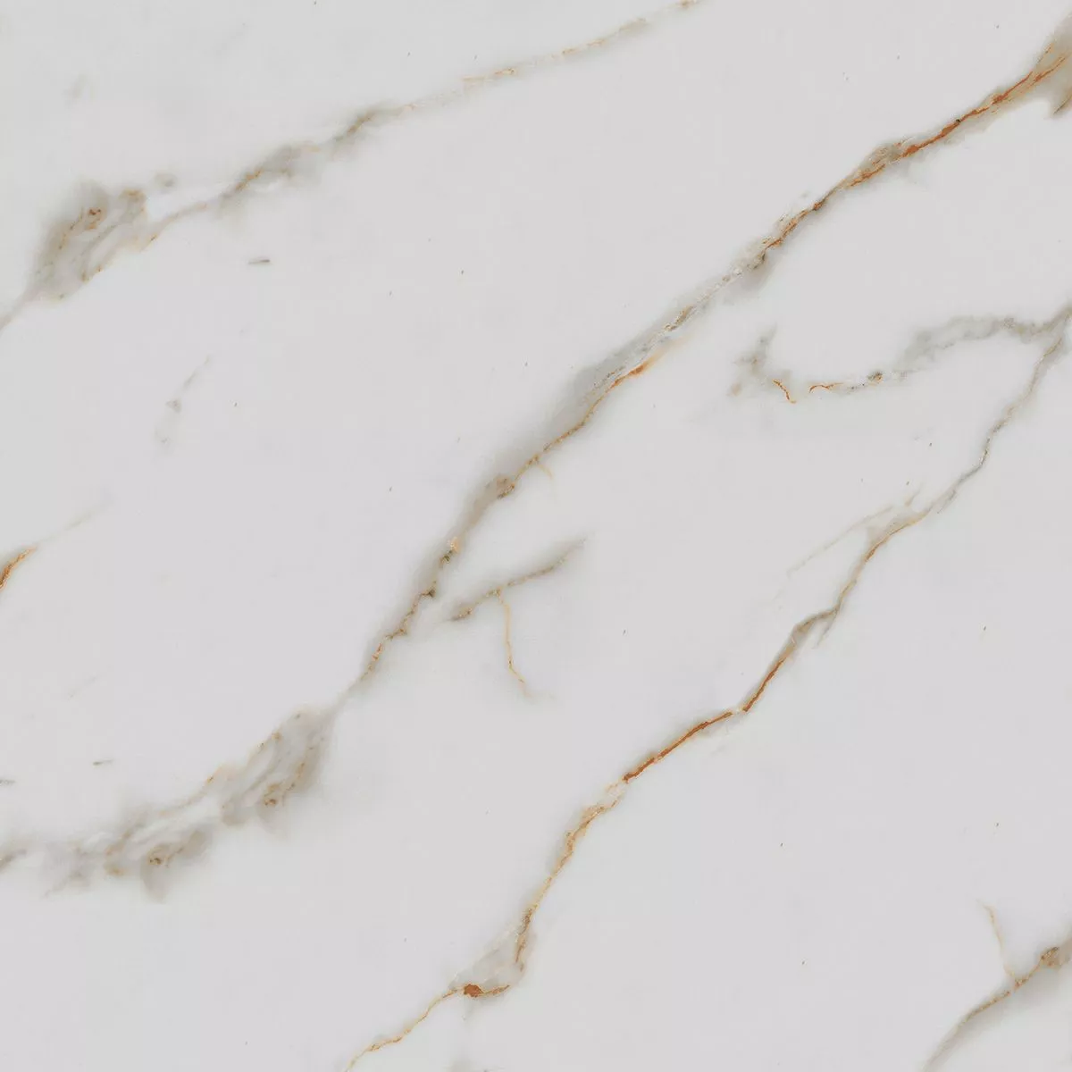 Купить Керамогранит Royce Calacatta Gold Polished 60x60 см (R_PR1003)
