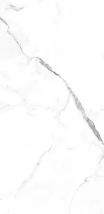 Купить Керамогранит Primavera  Dalim White NR235 1200х600 мм.