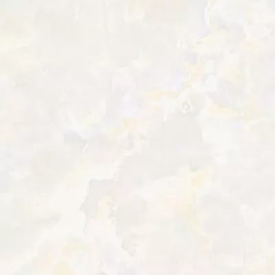 Керамогранит PARDIS Avin Polished 600х600 мм