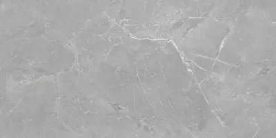 Керамогранит Fior di Bosco Silver Rectificado 60x120