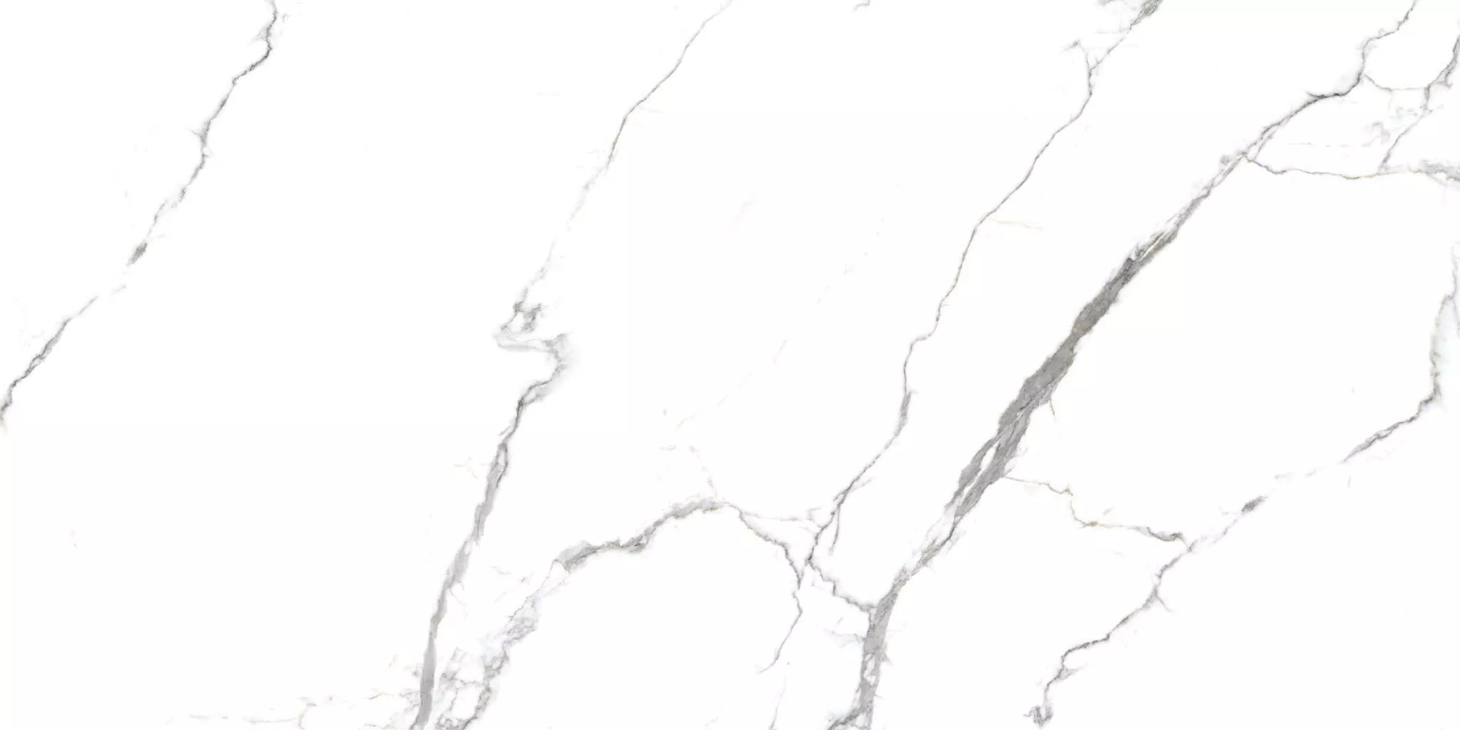 Купить Керамогранит Primavera Acothly Polished 60х120 см (PR234)