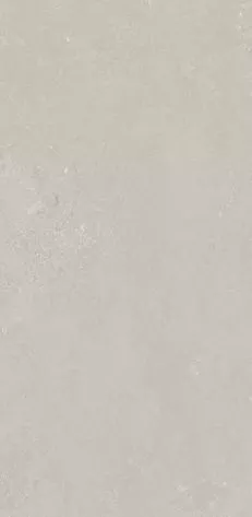 Купить Керамогранит Primavera  Virgo Grey NR241 1200х600 мм.