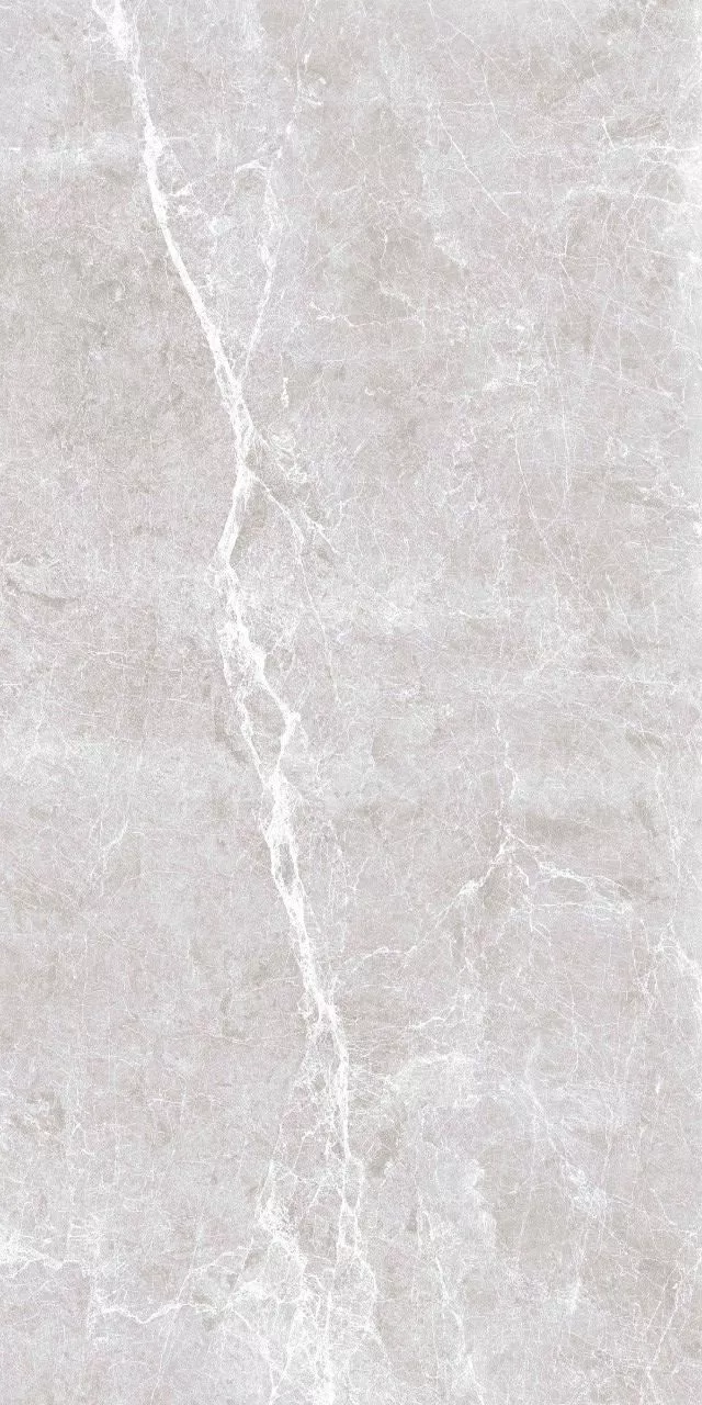 Купить Керамогранит ARTCER Eco Spider Grey 5.5 mm POLI 60x120