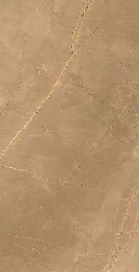 Купить Керамогранит Eco Royalish Brown 9 mm POLI 60x120