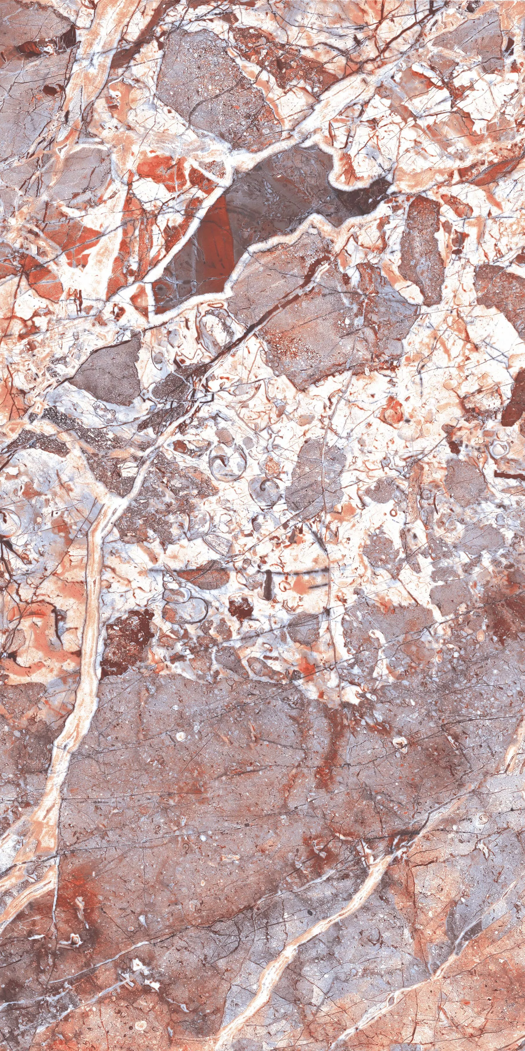 Купить Керамогранит ARTCER Exclusive Marble Acadia Multi POLI 60x120
