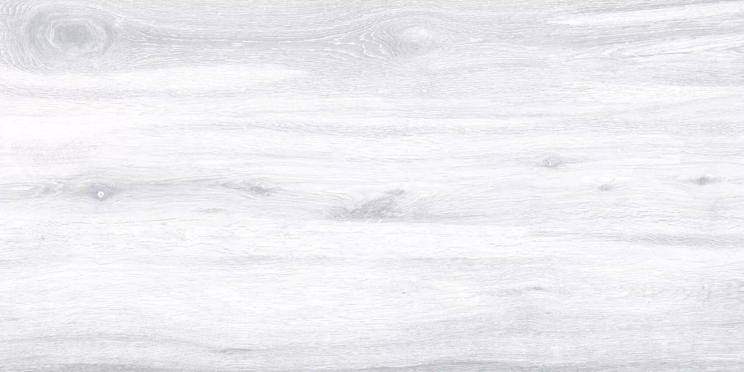 Купить Керамогранит Keraben Naturwood Ice MATE 60x120