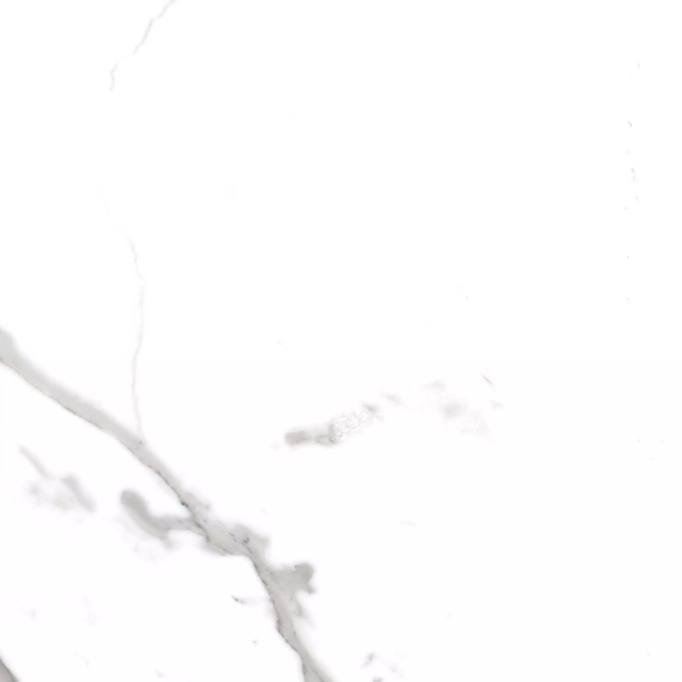 Купить Керамогранит Primavera Salvatore Carving 60x60 см (CR117)