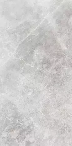 Купить Керамогранит Primavera  Flurry Caramel LC204 1200х600 мм.