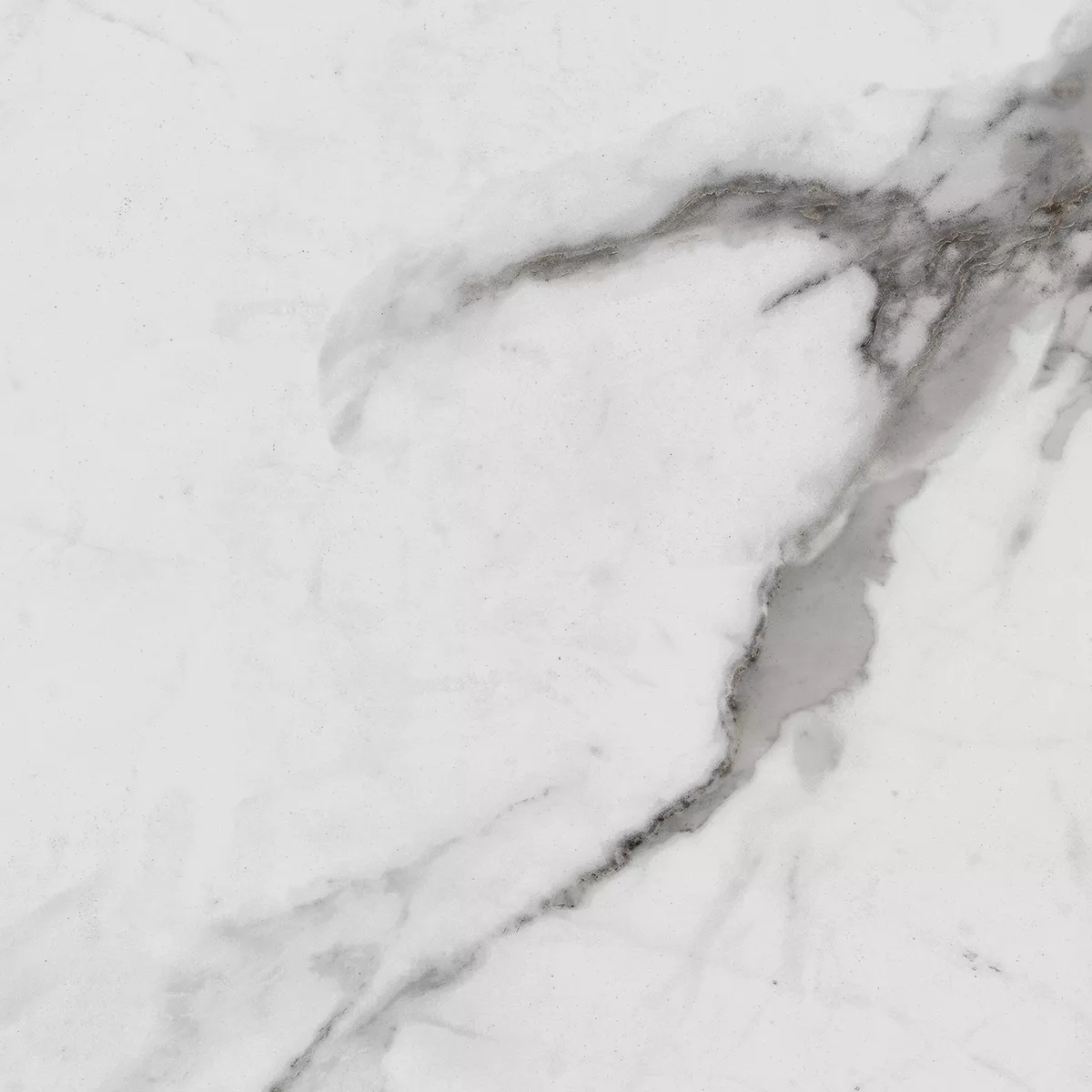 Купить Керамогранит Royce Carrara Betria Polished 60x60 см (R_PR1005)